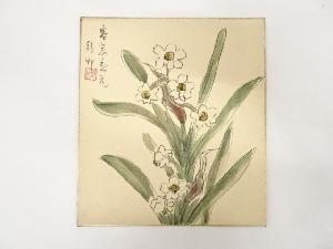 錦艸造　「水仙」図　色紙